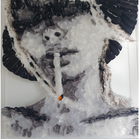 Zonder spijt of berouw, verenschildering in een plexiglas kist van beeldend kunstenaar Marie-Ange Daudé.