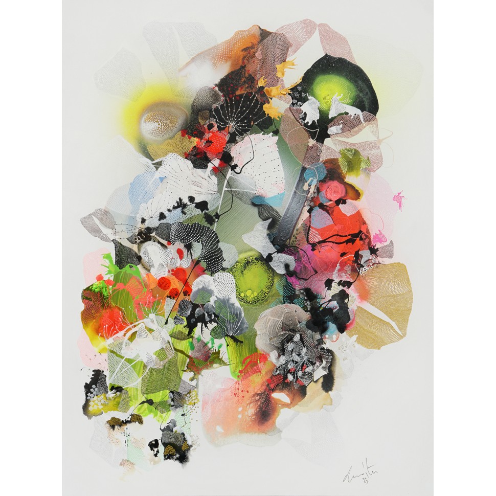 peinture sur toile abstraite avec des formes et des motifs organiques par l'artiste peintre coloriste Damien Demaiter