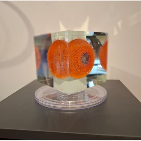 Cube Orange door Grootens