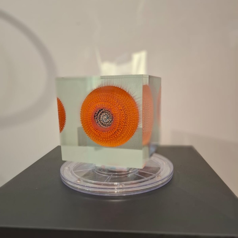 Cube Orange by Grootens