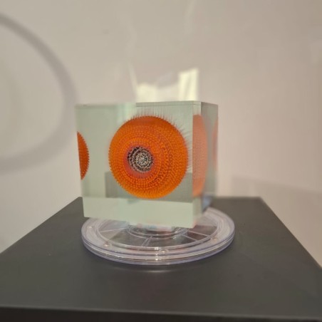 Cube Orange door Grootens