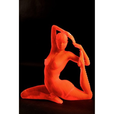 Roxanne von Olivier Duhamel